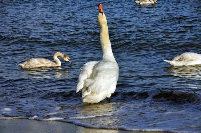 Прикрепленное изображение: LCIMGP5462.jpg